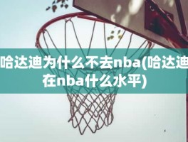 哈达迪为什么不去nba(哈达迪在nba什么水平)