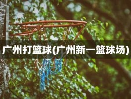 广州打篮球(广州新一篮球场)