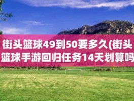 街头篮球49到50要多久(街头篮球手游回归任务14天划算吗)