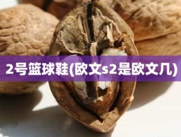 2号篮球鞋(欧文s2是欧文几)