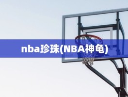 nba珍珠(NBA神龟)