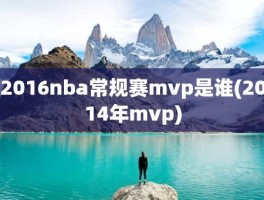 2016nba常规赛mvp是谁(2014年mvp)