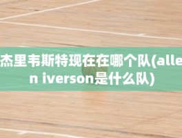 杰里韦斯特现在在哪个队(allen iverson是什么队)