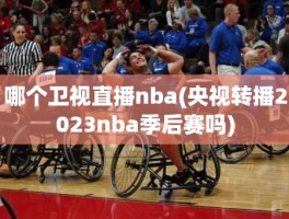 哪个卫视直播nba(央视转播2023nba季后赛吗)