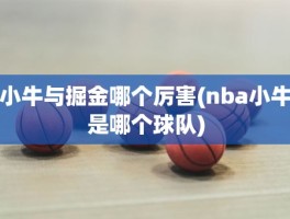 小牛与掘金哪个厉害(nba小牛是哪个球队)