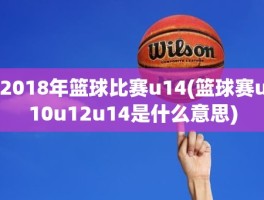 2018年篮球比赛u14(篮球赛u10u12u14是什么意思)