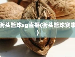 街头篮球sg直播(街头篮球赛事)