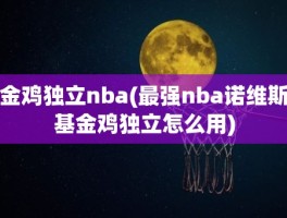 金鸡独立nba(最强nba诺维斯基金鸡独立怎么用)