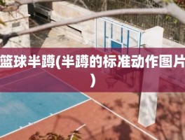 篮球半蹲(半蹲的标准动作图片)
