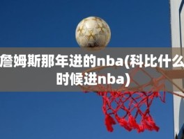 詹姆斯那年进的nba(科比什么时候进nba)