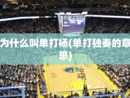 为什么叫单打杨(单打独奏的意思)