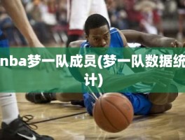nba梦一队成员(梦一队数据统计)
