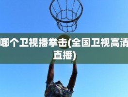 哪个卫视播拳击(全国卫视高清直播)