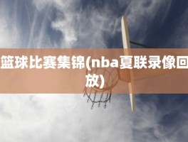 篮球比赛集锦(nba夏联录像回放)