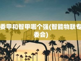 委甲和智甲哪个强(智能物联专委会)