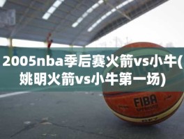 2005nba季后赛火箭vs小牛(姚明火箭vs小牛第一场)