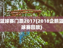 篮球赛门票2017(2018企鹅篮球赛回放)