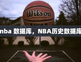 nba 数据库，NBA历史数据库