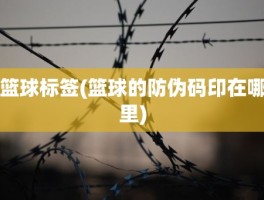 篮球标签(篮球的防伪码印在哪里)