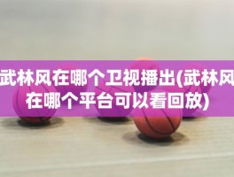 武林风在哪个卫视播出(武林风在哪个平台可以看回放)