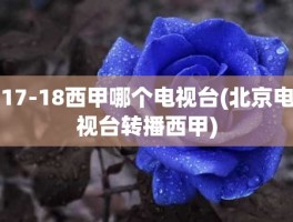 17-18西甲哪个电视台(北京电视台转播西甲)