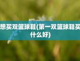 想买双篮球鞋(第一双篮球鞋买什么好)