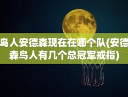 鸟人安德森现在在哪个队(安德森鸟人有几个总冠军戒指)