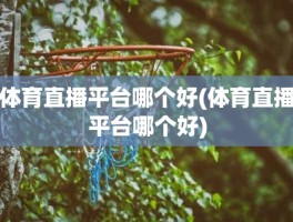 体育直播平台哪个好(体育直播平台哪个好)