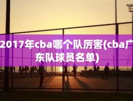 2017年cba哪个队厉害(cba广东队球员名单)