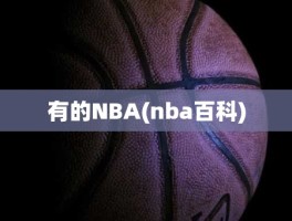 有的NBA(nba百科)