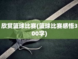 欣赏篮球比赛(篮球比赛感悟300字)
