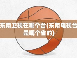 东南卫视在哪个台(东南电视台是哪个省的)