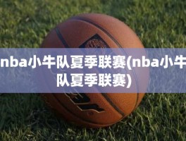 nba小牛队夏季联赛(nba小牛队夏季联赛)