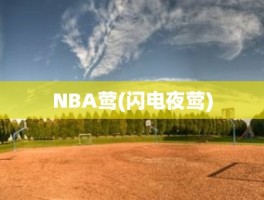 NBA莺(闪电夜莺)