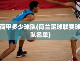 荷甲多少球队(荷兰足球联赛球队名单)