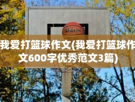 我爱打篮球作文(我爱打篮球作文600字优秀范文3篇)