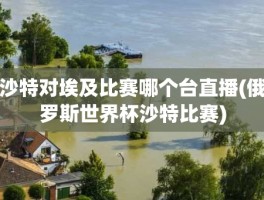 沙特对埃及比赛哪个台直播(俄罗斯世界杯沙特比赛)