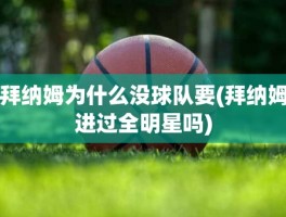 拜纳姆为什么没球队要(拜纳姆进过全明星吗)