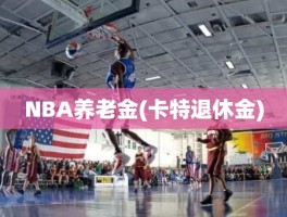 NBA养老金(卡特退休金)