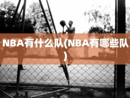 NBA有什么队(NBA有哪些队)