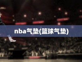 nba气垫(篮球气垫)