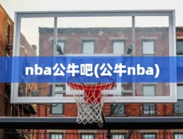 nba公牛吧(公牛nba)