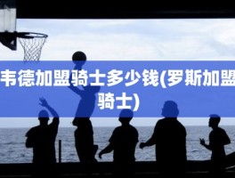 韦德加盟骑士多少钱(罗斯加盟骑士)