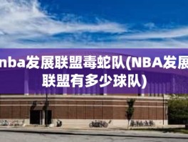 nba发展联盟毒蛇队(NBA发展联盟有多少球队)