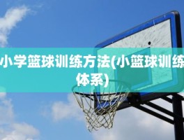 小学篮球训练方法(小篮球训练体系)