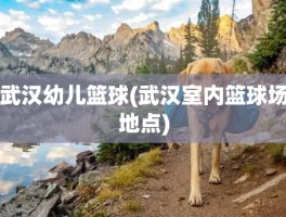武汉幼儿篮球(武汉室内篮球场地点)