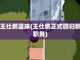 王仕鹏篮球(王仕鹏正式回归新职务)