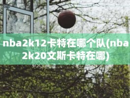 nba2k12卡特在哪个队(nba2k20文斯卡特在哪)