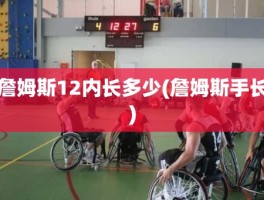 詹姆斯12内长多少(詹姆斯手长)