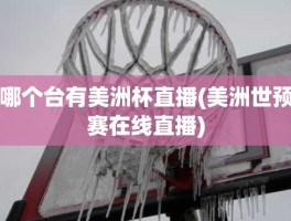 哪个台有美洲杯直播(美洲世预赛在线直播)